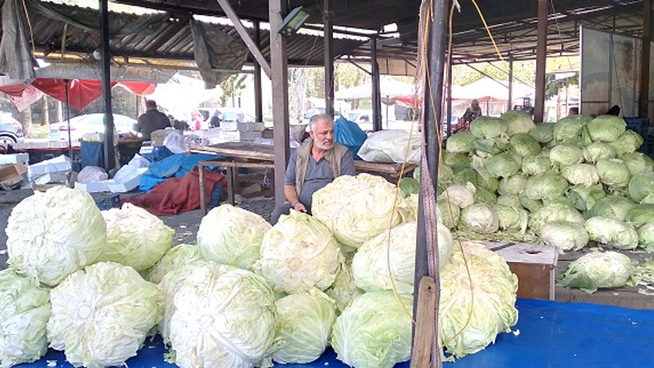 Muş lahanaları Diyarbakır'da tezgahlarda: İşte fiyatları