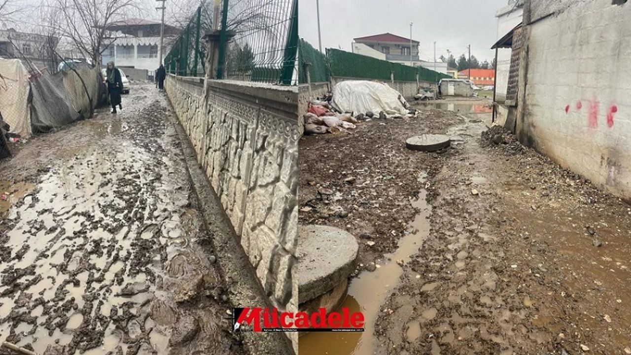 Diyarbakır'da çamurlu okul yolu! Öğrenciler mağdur