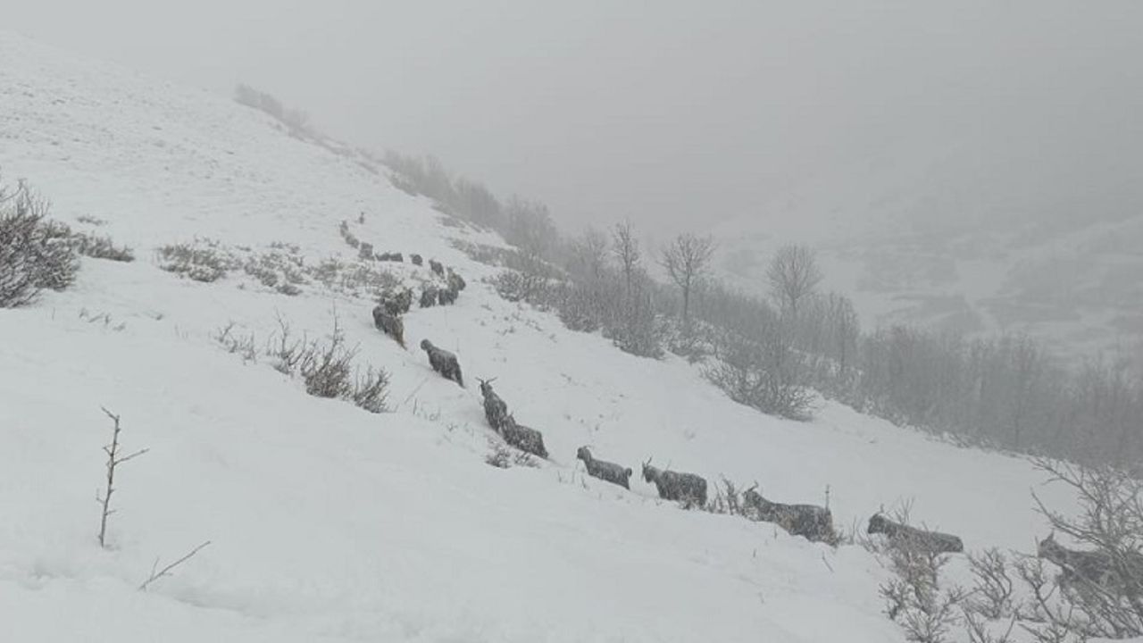 Diyarbakır’ın komşusu kar hapsinde! Yüzlerce köy yolu kapandı