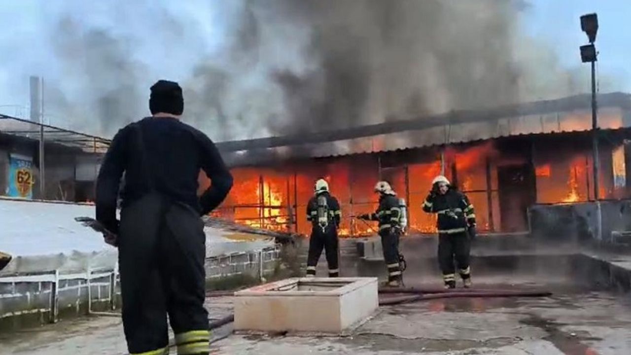 Diyarbakır’da yangın faciası! 600 güvercin öldü