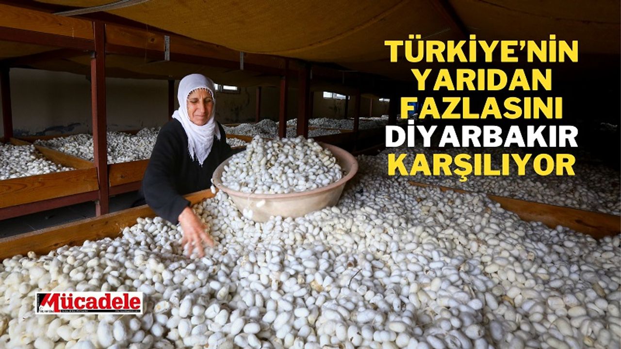 Türkiye’nin yarıdan fazlasını Diyarbakır karşılıyor!