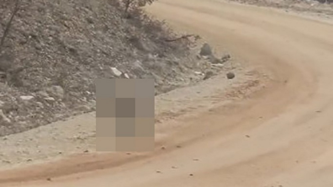 Kırmızı listede yer alıyordu: Tunceli’de ortaya çıktı!