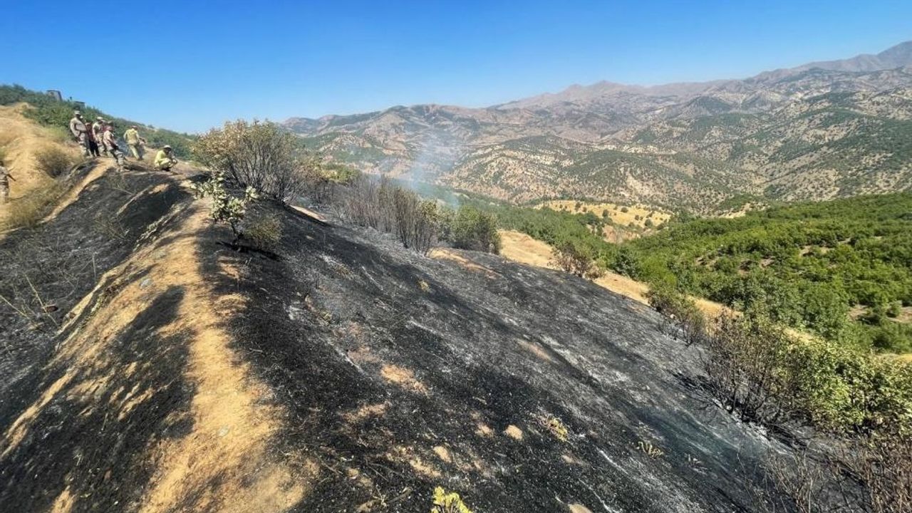 Diyarbakır'da onlarca ağaç kül oldu!