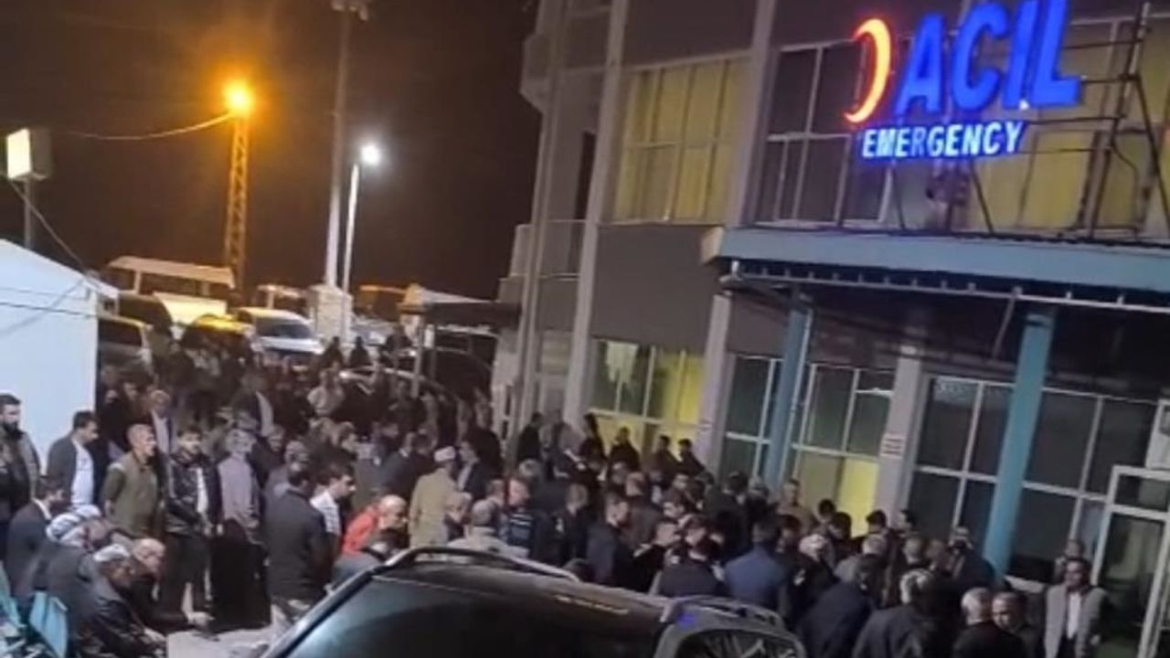 Ceviz ağacından düştü: Ferho Sevmiş hayatını kaybetti
