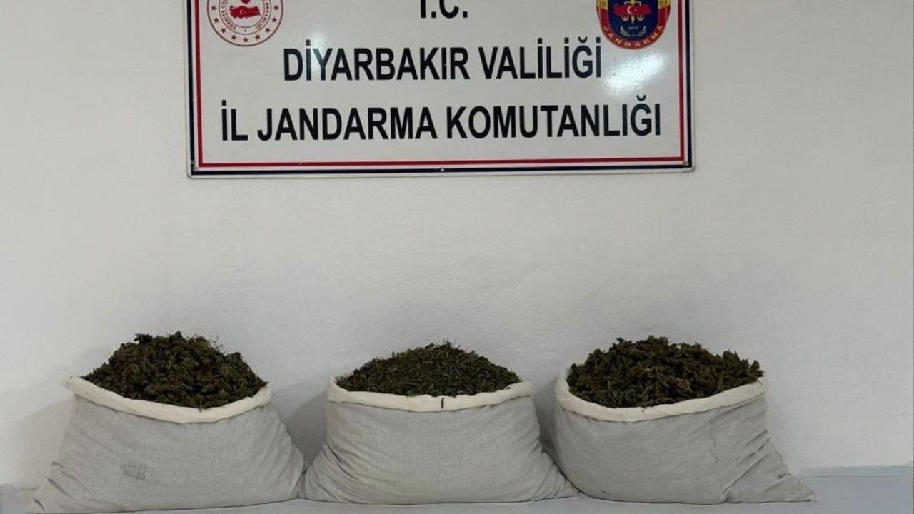 Diyarbakır Lice’de 15 kilo skunk ele geçirildi