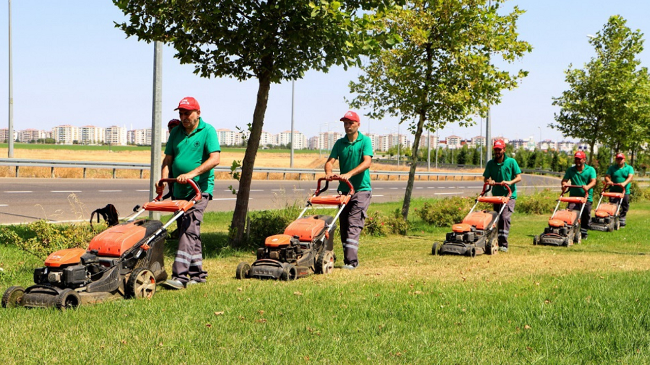 Diyarbakır’da ağaç sayısı belli oldu: Kimse tahmin edemez!
