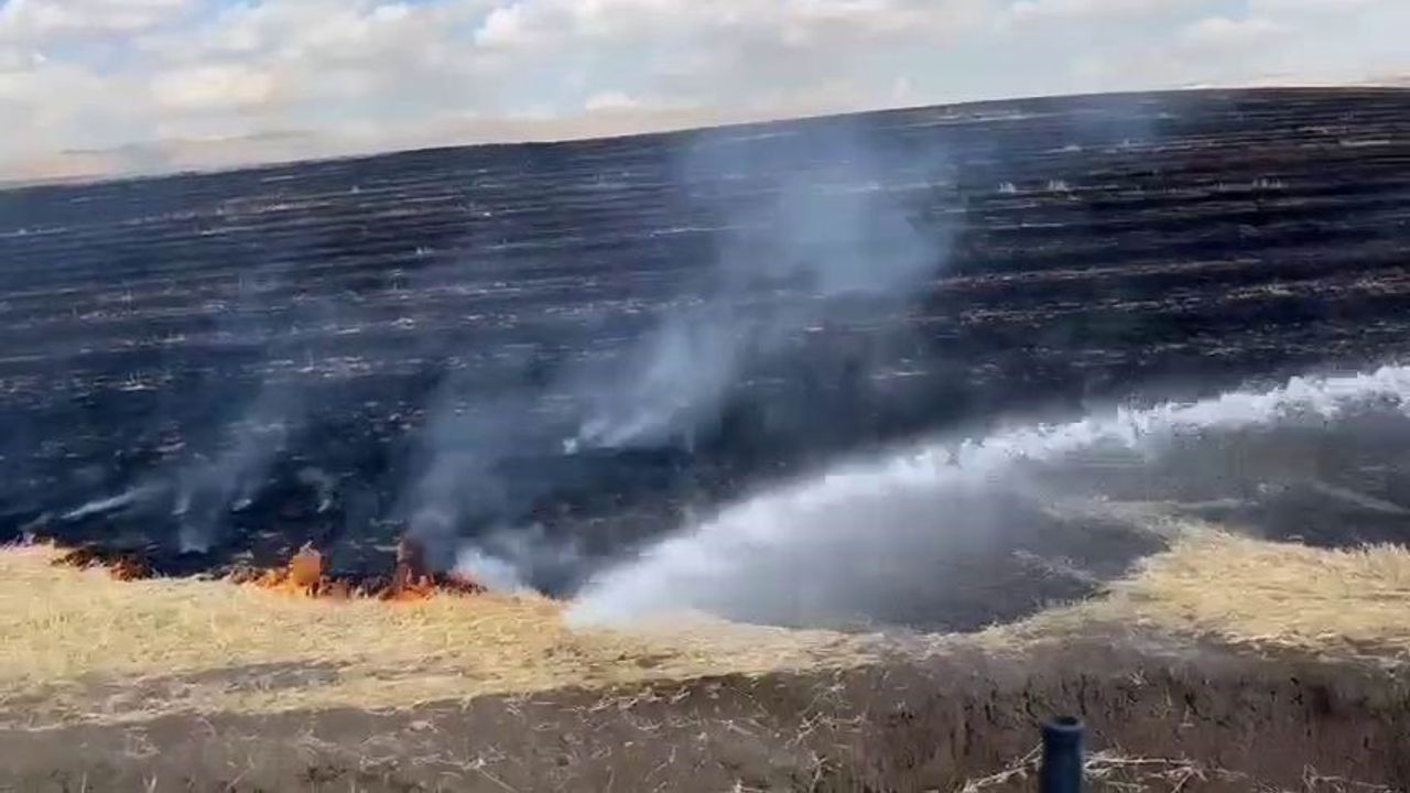 Diyarbakır’da onlarca dönümlük alanda anız yangını