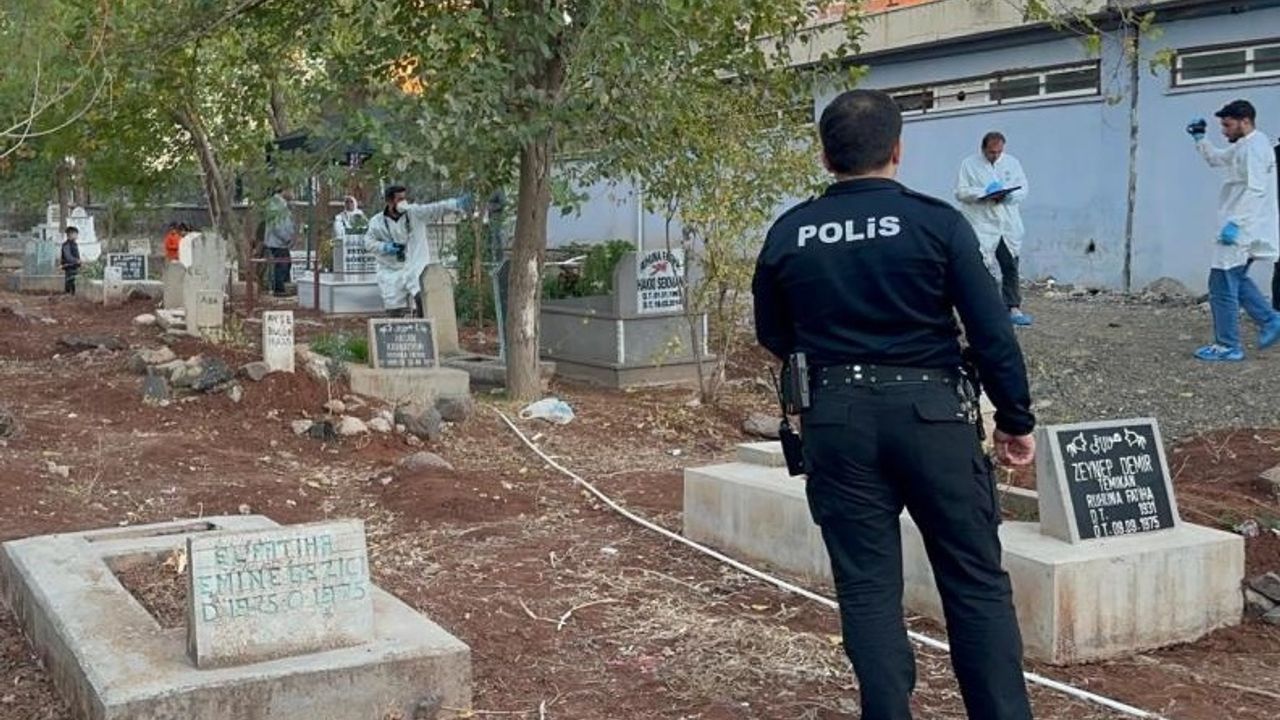 Siverek’te mezarlığa gitti: Korkunç manzarayla karşılaştı!