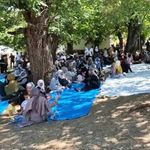 Bingöl'de asırlık gelenek: Diyarbakır dahil birçok il akın etti!