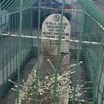 Diyarbakır’da şaşırtan görüntü: Mahallenin ortasında bir mezar