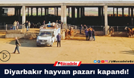 Diyarbakır hayvan pazarı kapandı!