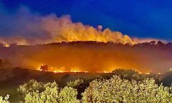 31 Ekim'e kadar orman alanlarına girişler yasaklandı