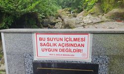 Şifalı diye içilen suyun kansere neden olduğu ortaya çıktı