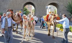 Diyarbakır Karpuz Festivali programı belli oldu!