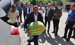 Batman karpuzu, Diyarbakır’a rakip oldu!