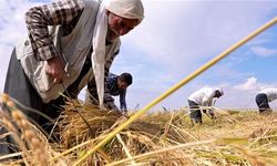 Mazot ve gübre desteği kaldırıldı mı? Bakanlık yanıt verdi