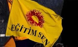 Diyarbakır’da 4 öğretmen açığa alındı!