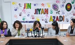 Diyarbakır’da kadın, çocuk ve LGBTİ+lara ilişkin rapor!