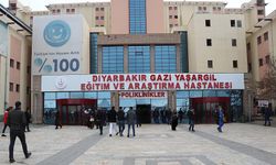 Diyarbakır’da uzmanı açıkladı: Sayısı artıyor