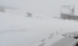 Karacadağ'da kış rekoru: Kar kalınlığı seviyesi belli oldu!