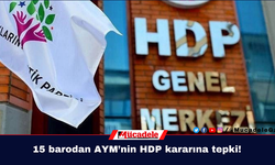 15 barodan AYM’nin HDP kararına tepki!