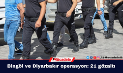 Bingöl ve Diyarbakır'da operasyon: 21 gözaltı