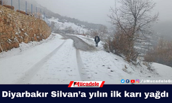 Diyarbakır Silvan’a yılın ilk karı yağdı