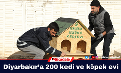 Diyarbakır’a 200 kedi ve köpek evi