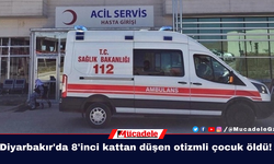 Diyarbakır'da 8'inci kattan düşen otizmli çocuk öldü!