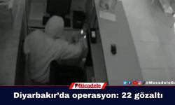 Diyarbakır’da hırsızlık, gasp ve kapkaç operasyonu: 22 gözaltı