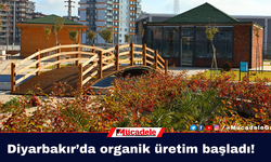 Diyarbakır’da organik üretim başladı!