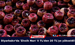 Diyarbakır’da 'Zivzik Narı' 5 TL’den 20 TL’ye yükseldi!