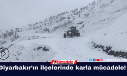 Diyarbakır’ın ilçelerinde karla mücadele