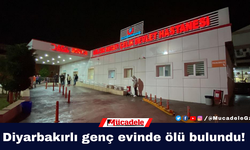 Diyarbakırlı genç evinde ölü bulundu!