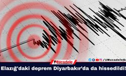 Elazığ'daki deprem Diyarbakır’da da hissedildi!