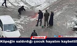 Köpeğin saldırdığı çocuk hayatını kaybetti!