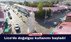 Lice’de doğalgaz kullanımı başladı!