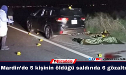 Mardin’de 5 kişinin öldüğü saldırıda 6 gözaltı