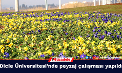 Dicle Üniversitesi’nde peyzaj çalışması yapıldı