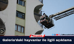 Büyükşehir’den Galeria’daki hayvanlar ile ilgili açıklama