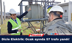 Dicle Elektrik: Ocak ayında 57 trafo yandı!