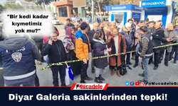 VİDEO- Diyarbakır Galeria sakinlerinden tepki!