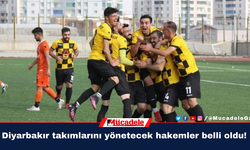 Diyarbakır takımlarını yönetecek hakemler belli oldu!