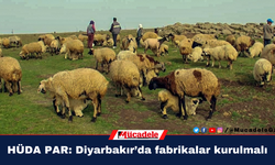 “Diyarbakır’da et ve süt ürünleri fabrikaları kurulmalı”