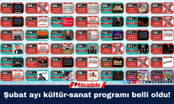 Diyarbakır'da Şubat ayı kültür-sanat programı belli oldu