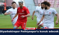 Diyarbekirspor Fethiyespor’u konuk edecek