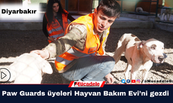 Paw Guards üyeleri Diyarbakır Hayvan Bakım Evi’ni gezdi