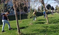 Dicle Üniversitesi hatıra ormanı oluşturdu!