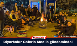 Diyarbakır Galeria Meclis gündeminde!