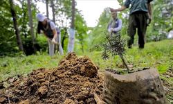 Diyarbakır’daki fidan etkinliği depremzedelere adadı